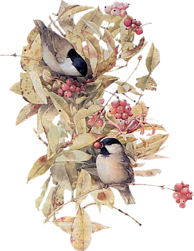 őszi állatok_128.png